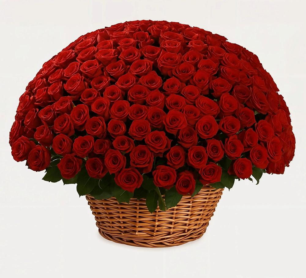 Премиум букет из: Розы в Комсомольском Воронежской области