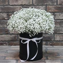 Цветочная композиция из Гипсофила в шляпной коробке в Комсомольском Воронежской области
