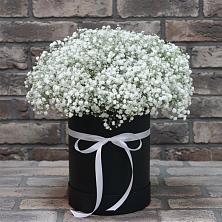 Цветочная композиция из Гипсофила в шляпной коробке в Комсомольском Воронежской области